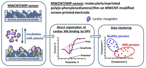 Biosensors | Special Issue : Electrochemical (Bio-) Sensors in ...