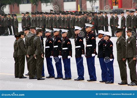 USMC Graduation 的图像结果