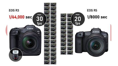 Canon EOS R3 vs EOS R5 的图像结果