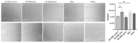 Graphene Quantum Dots in Bacterial Cellulose Hydrogels for Visible ...