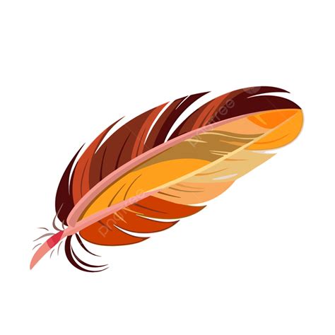Turkey Feathers Vector