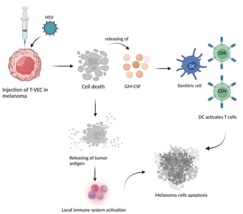 Role of HMGB1 in Cutaneous Melanoma: State of the Art