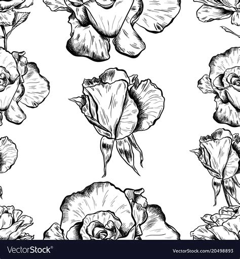 Detailed Pattern Vector 的图像结果