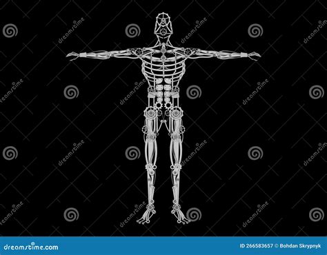 Automaton Human Table 的图像结果