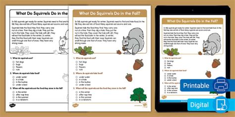 First Grade What Do Squirrels Do in the Fall? Reading Comprehension