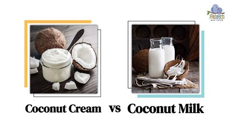 Coconut Cream vs. Coconut Milk: Health Comparison & 3 Key Differences