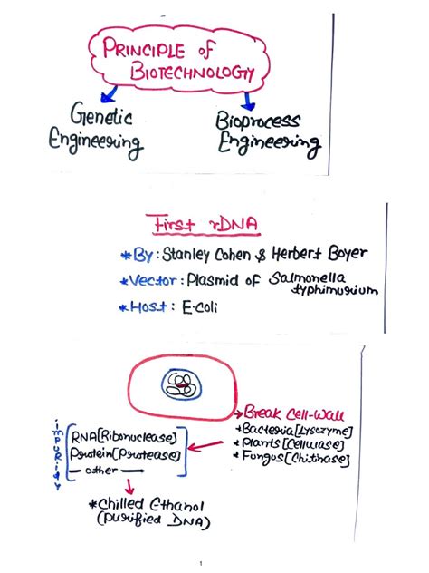 Example of a Biotechnology Process 的图像结果