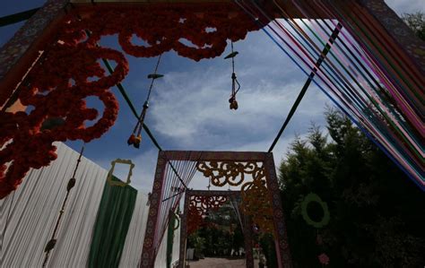 Party Types 的图像结果