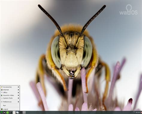 Linux 的图像结果