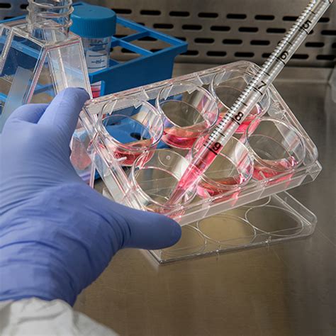 Image result for Lab Testing Kits