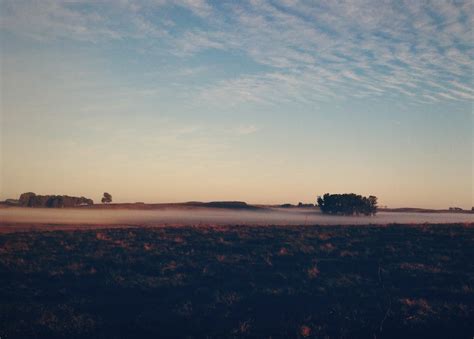 Image result for Northern Migration of Python's