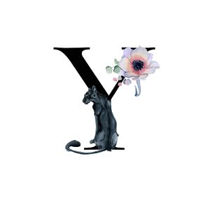 【y】艺术字设计制作_【y】艺术字图片-千库网