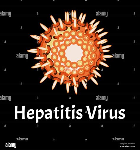 Hepatitis virus structure. Viral infection Hepatitis. Sexually ...