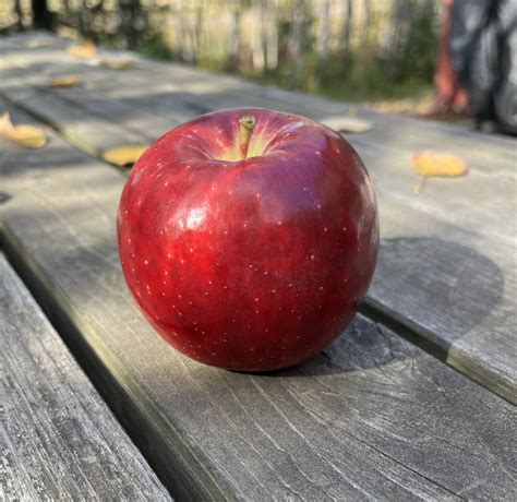 Image result for Comparing Apples