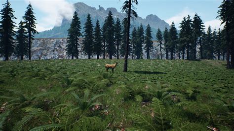 Image result for Ranch Simulator Buildable Area