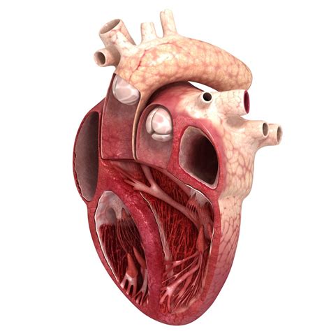 Image result for Heart with Name Using Python