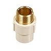 Astral 1/2 inch CPVC Brass MTA Brass (Yellow, Pack of 30) : Amazon.in ...