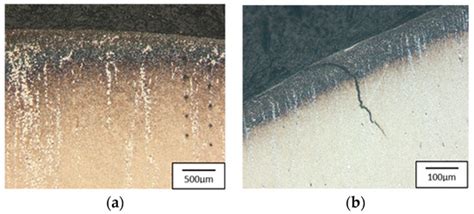 Possibilities of Increasing the Durability of Punches Used in the ...