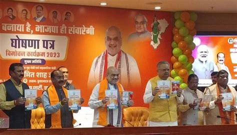 Chhattisgarh polls: BJP promises sops for landless farm workers, paddy ...