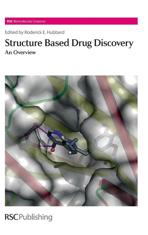 Buy Structure-Based Drug Discovery: An Overview: Volume 3 (RSC ...