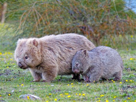 Image result for Best Ideas for Computer Science Practical File