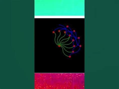 Python Turtle Flower Code 的图像结果