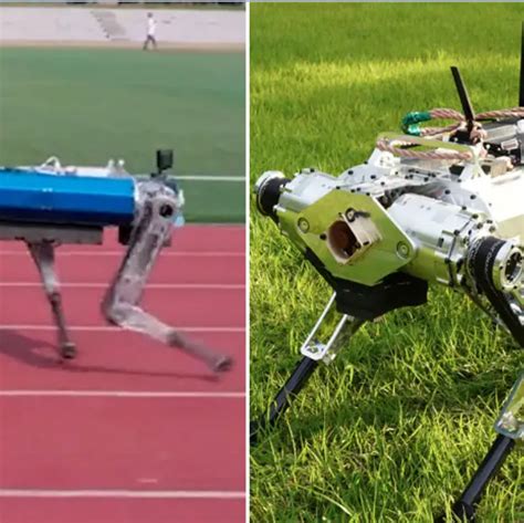 Robo-Dog 'Hound' Sets Guinness Record for Fastest Four-Legged Robot ...