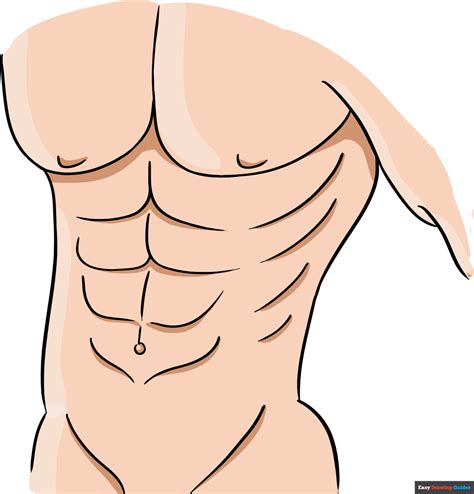 Image result for Draw Abs for Beginners