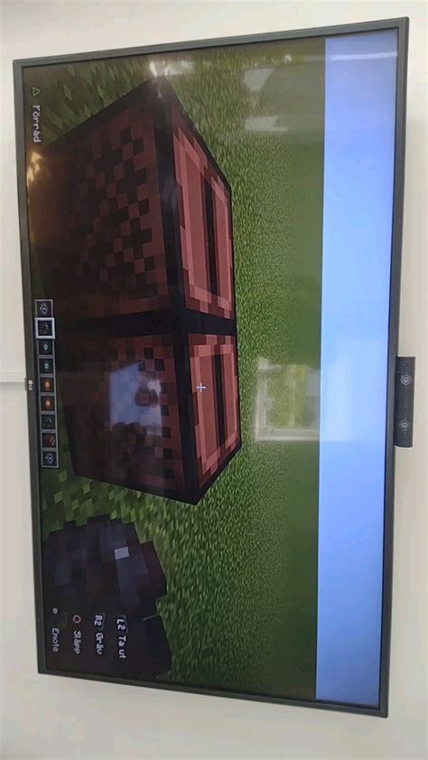 Image result for Minecraft Disc 11