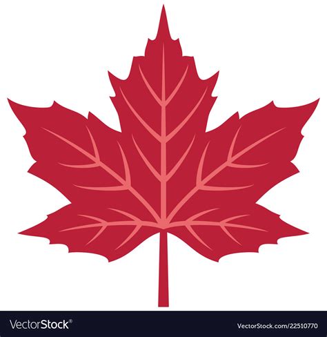 Image result for Vector File of Maple Leaf