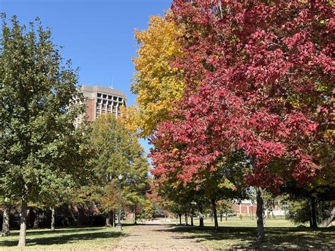 Housing News | November 2024 | The WKU Parent & Family Portal