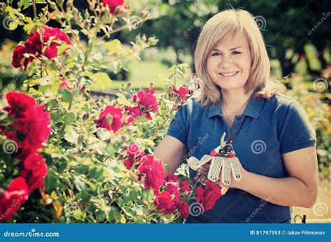 Woman Gardening Red Roses and Holding Horticultural Tools on Sun Stock ...