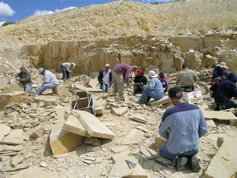 Jobs – Now Hiring - Fossil Lake Safari - Wyoming Fossil Hunting