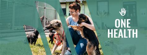 One Health - MSD Manual Consumer Version