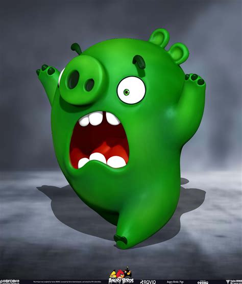 Angry Birds Pigs Characters