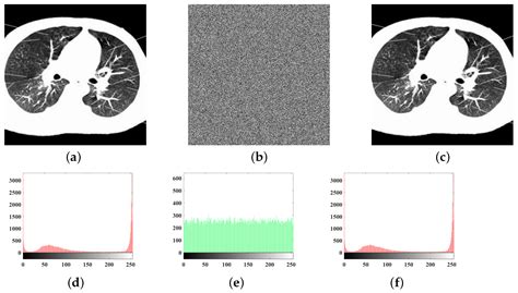 Design and Analysis of a Novel Fractional-Order System with Hidden ...
