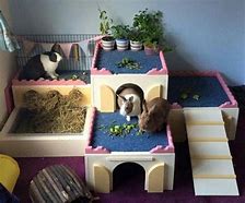 Image result for Bunny Castle House