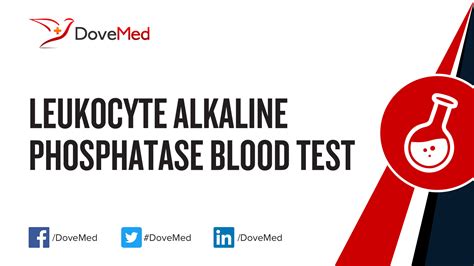 Leukocyte Alkaline Phosphatase Blood Test