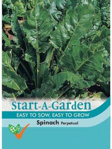 DIOART ™ RDX-51-Start-A-Garden Vegetable - Spinach Perpetual Seed Price ...
