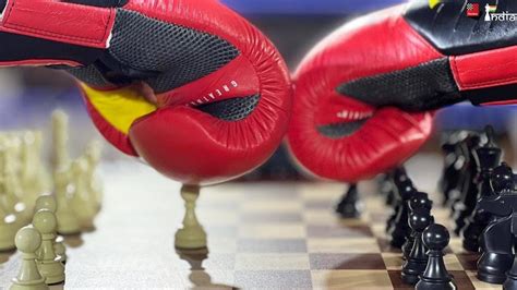 Chess Boxing 的图像结果