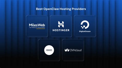 Top 5 Best OpenClaw Hosting Providers in India (2026 Edition)