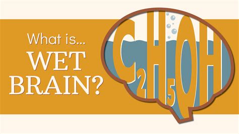 What is Wet Brain and Can it Be Cured? | Barn Life Recovery