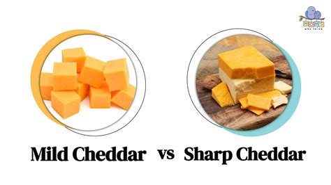 Tasting the Differences: Mild Cheddar vs. Sharp Cheddar
