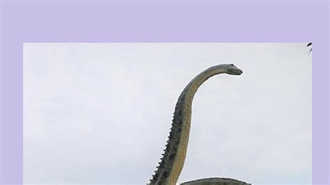 Sneezing Dinosaur Fossil Reveals Deadly Flu like Illness in a Sauropod ...