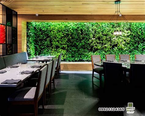 Vertical Gardens | Green Wall Plants Nursery | Green Wall India