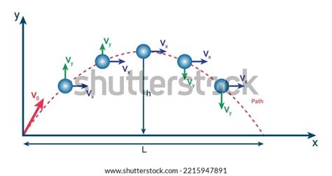Image result for Graphing Projectile Motion