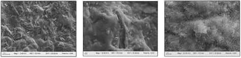 Bonding Effectiveness of Veneering Ceramic to Zirconia after Different ...