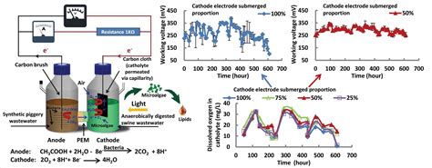 Enhancing Stability of Microalgae Biocathode by a Partially Submerged ...