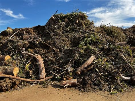 Composting | City of Phoenix