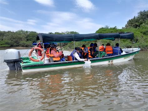 Enel Colombia ha sembrado cerca de ocho millones de alevinos en la ...